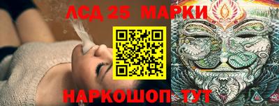 гашик Гатчина