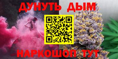 гашик Гатчина