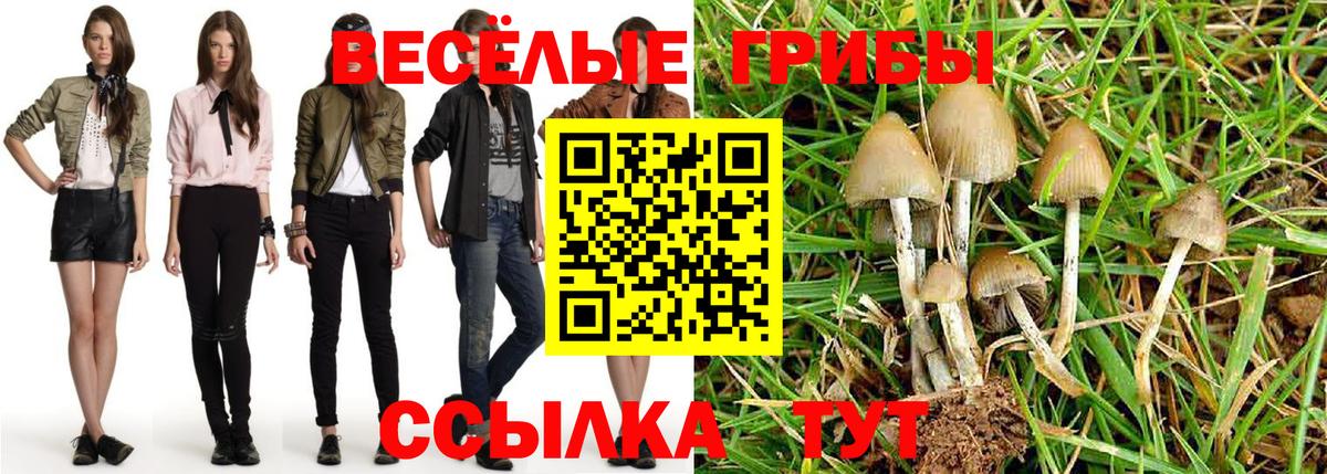 Нерюнгри  Псилоцибиновые грибы MAGIC MUSHROOMS  Вход с VPN 