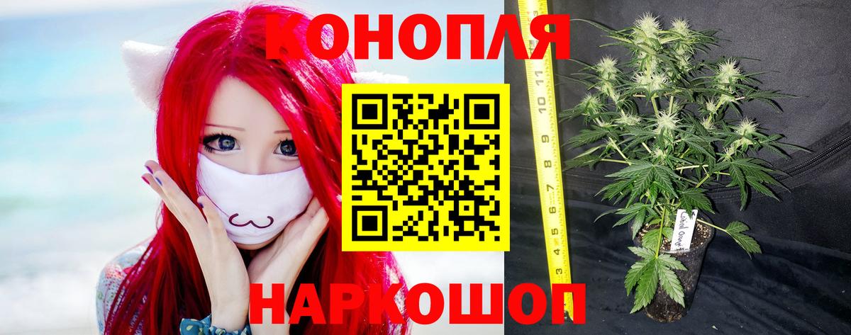 Бошки Шишки THC 21% Нерюнгри